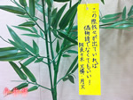 阿良々木火憐さん＆月火さんの願い事