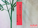 阿良々木暦さんの願い事
