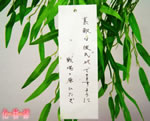 戦場ヶ原ひたぎさんの願い事