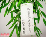 八九寺真宵さんの願い事