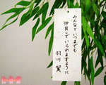 羽川翼さんの願い事